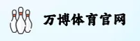 使用指南与常见问题